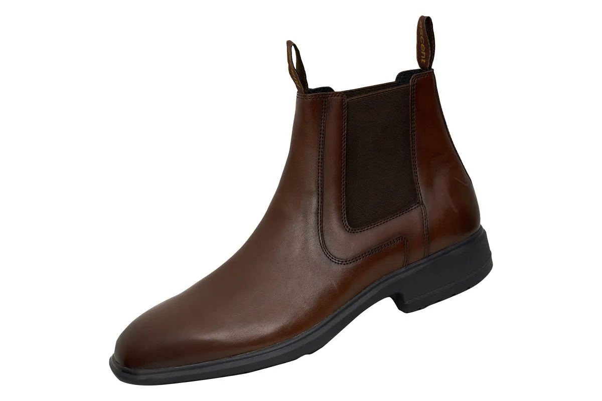 Ascent Crest 2 E Brown Mens